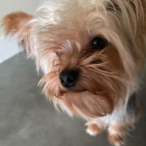 Meet your Posher, Walter